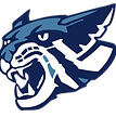 South Dearborn High School Basketball